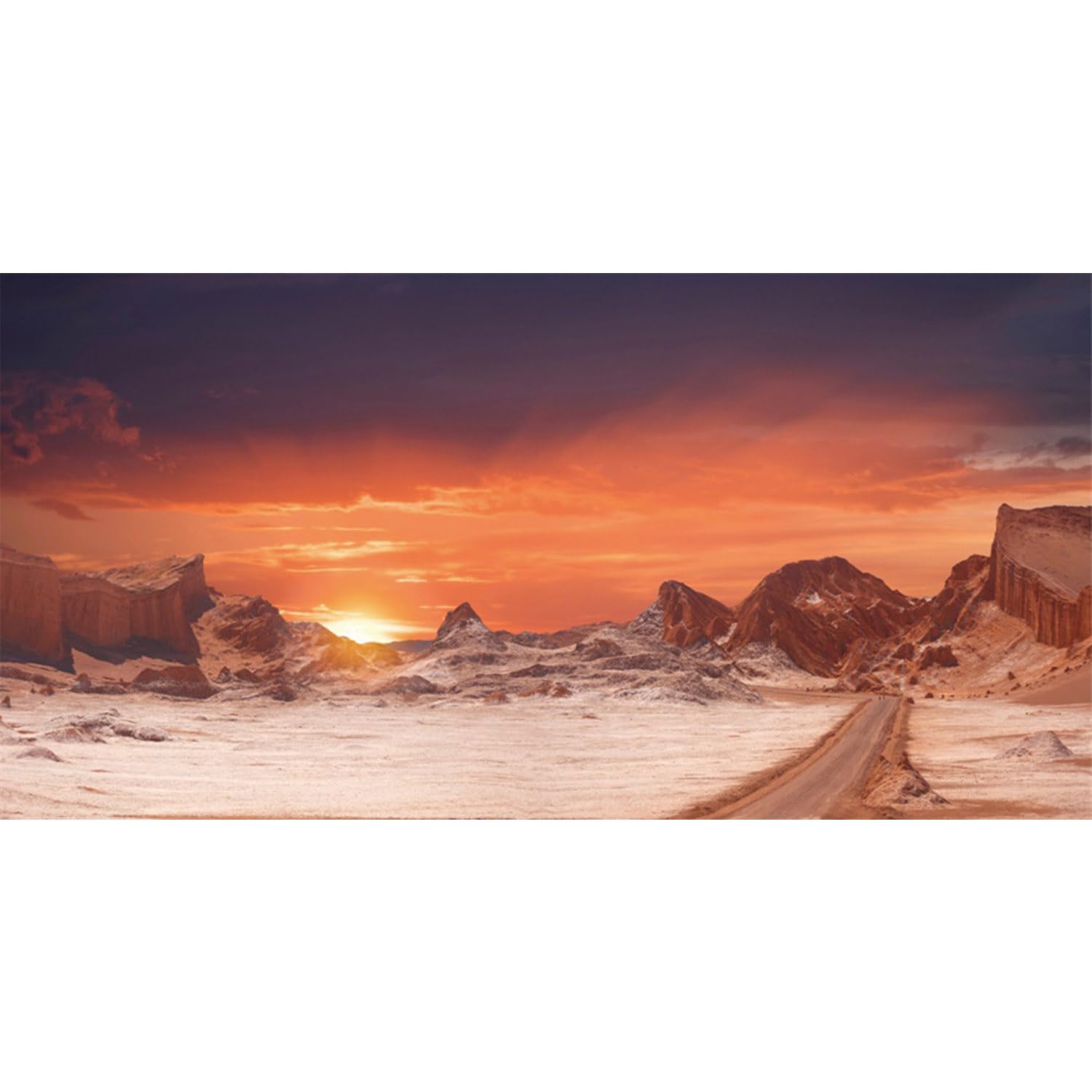 AWERT fond-terarium-desert-soleil-orange-72x18, profondeur visuelle et ambiance naturelle.