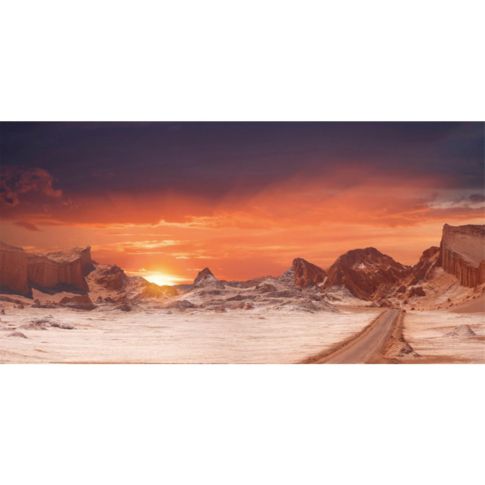 AWERT fond-terarium-desert-soleil-orange-72x18, profondeur visuelle et ambiance naturelle.