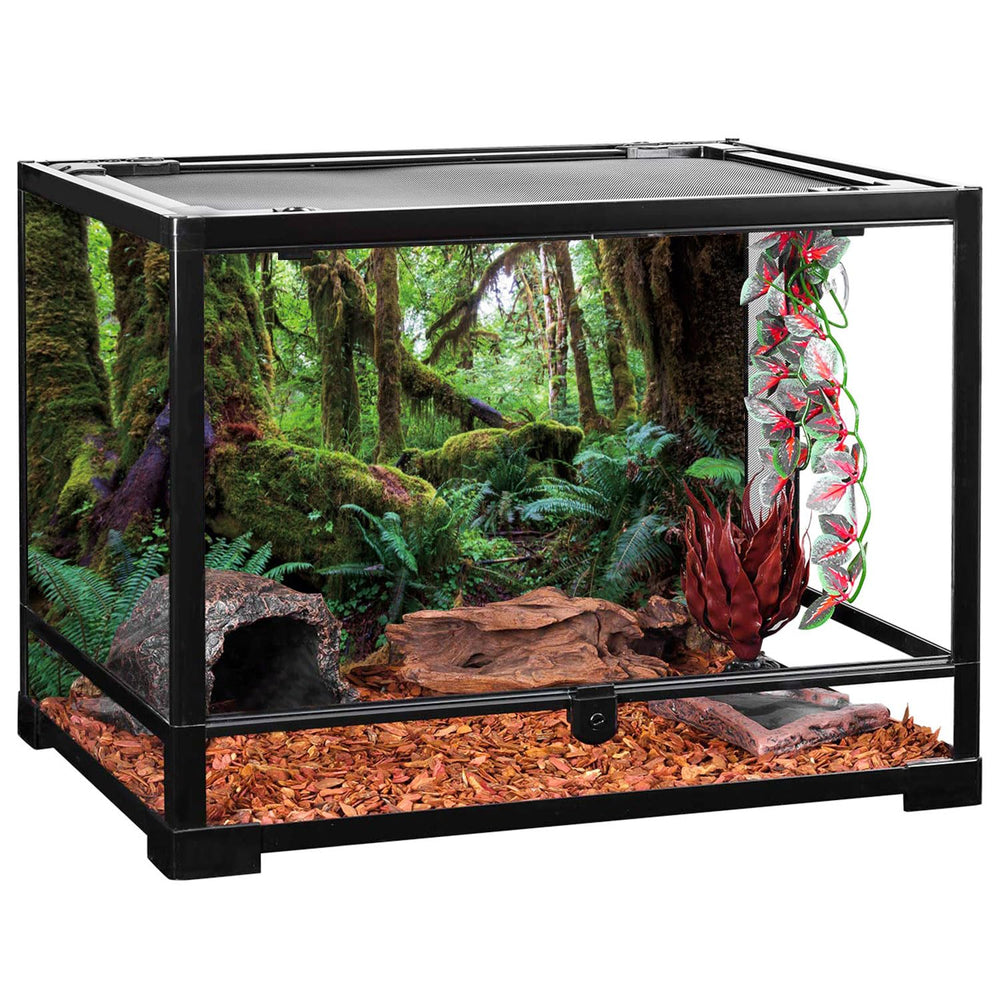 AWERT fond terrarium nuances vertes brillantes, couleur durable pour habitat.