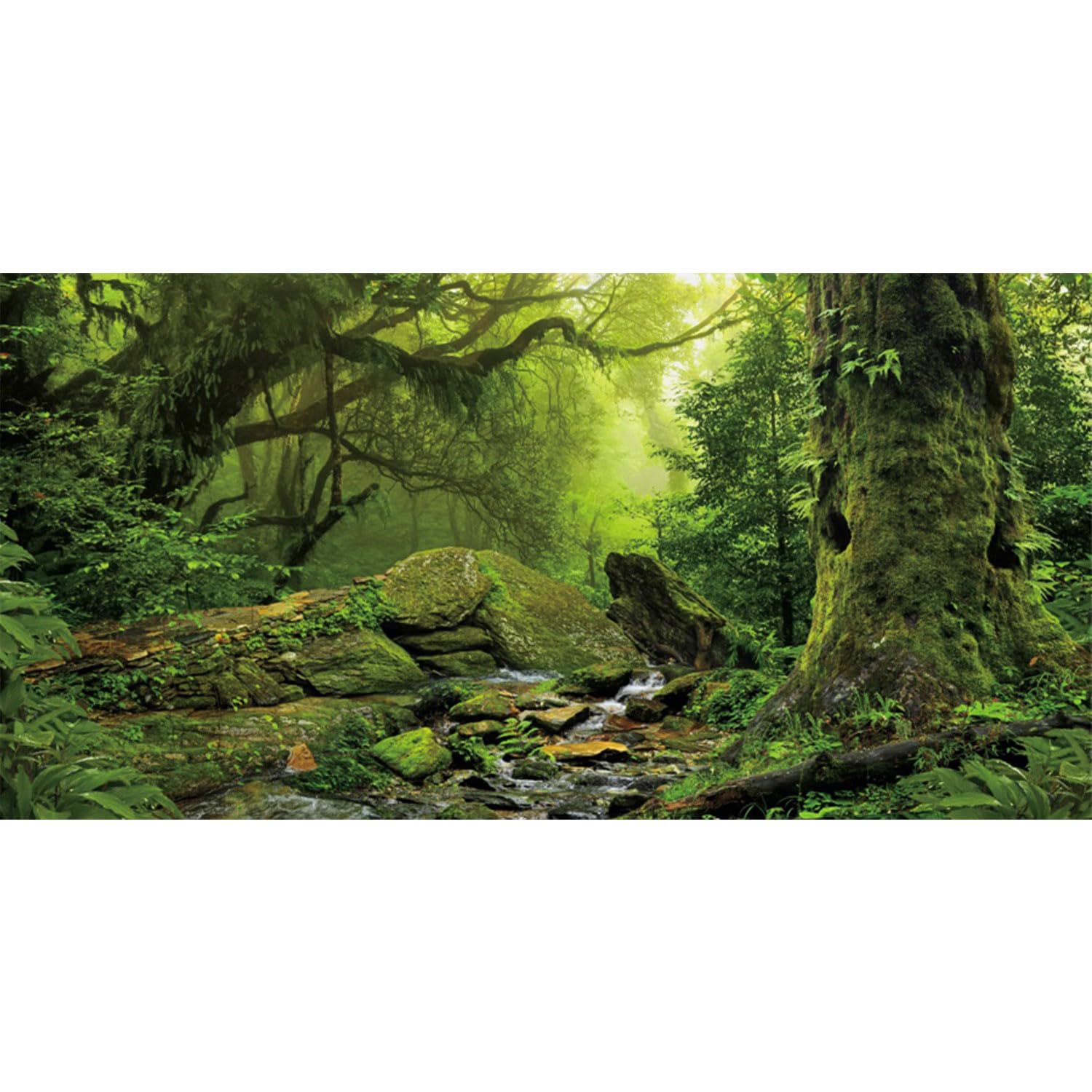 Fond AWERT terrarium forêt tropicale avec grand arbre, profondeur réaliste pour votre habitat