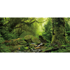 Fond AWERT terrarium forêt tropicale avec grand arbre, profondeur réaliste pour votre habitat