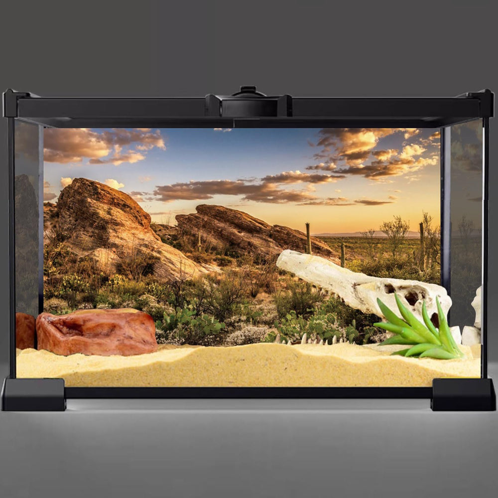 AWERT fond terrarium réptile bleu désert soleil: contraste vivant pour l'habitat.