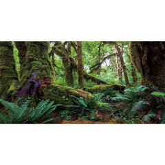 AWERT arrière-plan forêt tropicale pour aquarium, profondeur réaliste et ambiance naturelle.