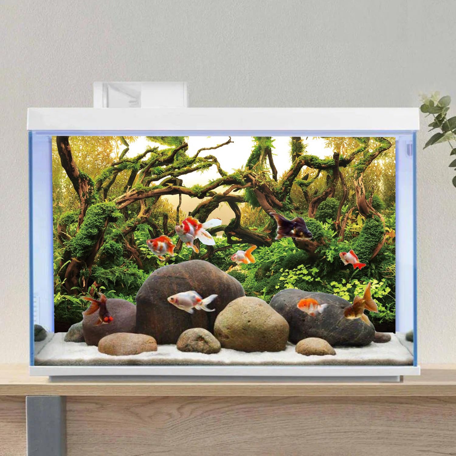 AWERT profondeur-arrière-plan enrichit l’aquarium avec espace visuel.