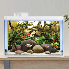 AWERT profondeur-arrière-plan enrichit l’aquarium avec espace visuel.