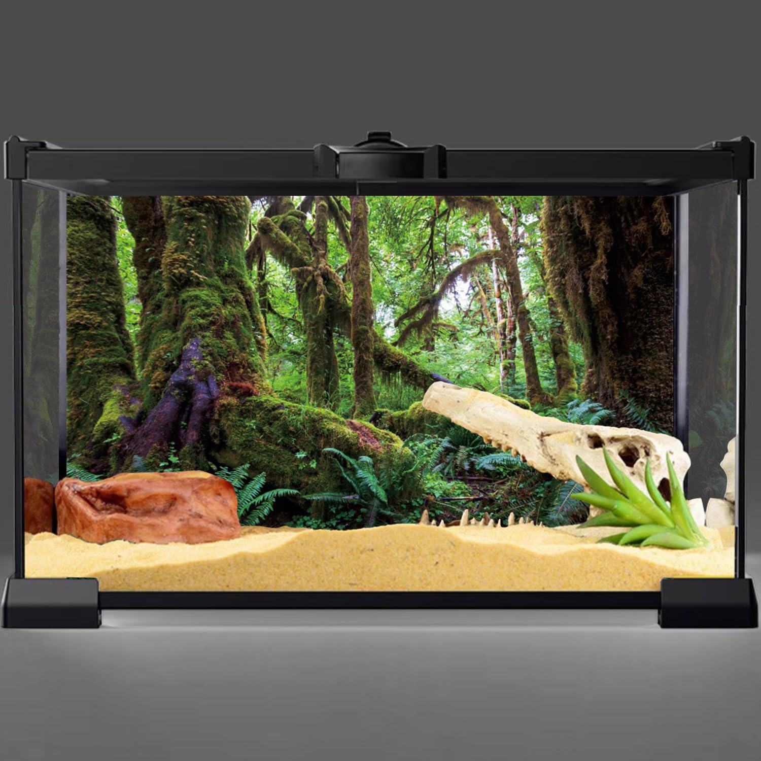 AWERT décor terrarium durable en polyester, installation facile et réutilisable.