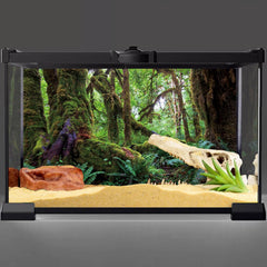 AWERT décor terrarium durable en polyester, installation facile et réutilisable.