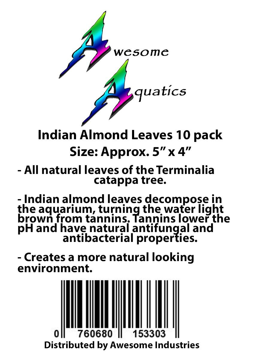 Awesome Aquatic Feuilles Catappa, faciles à ajouter, entretien minimal pour votre bac