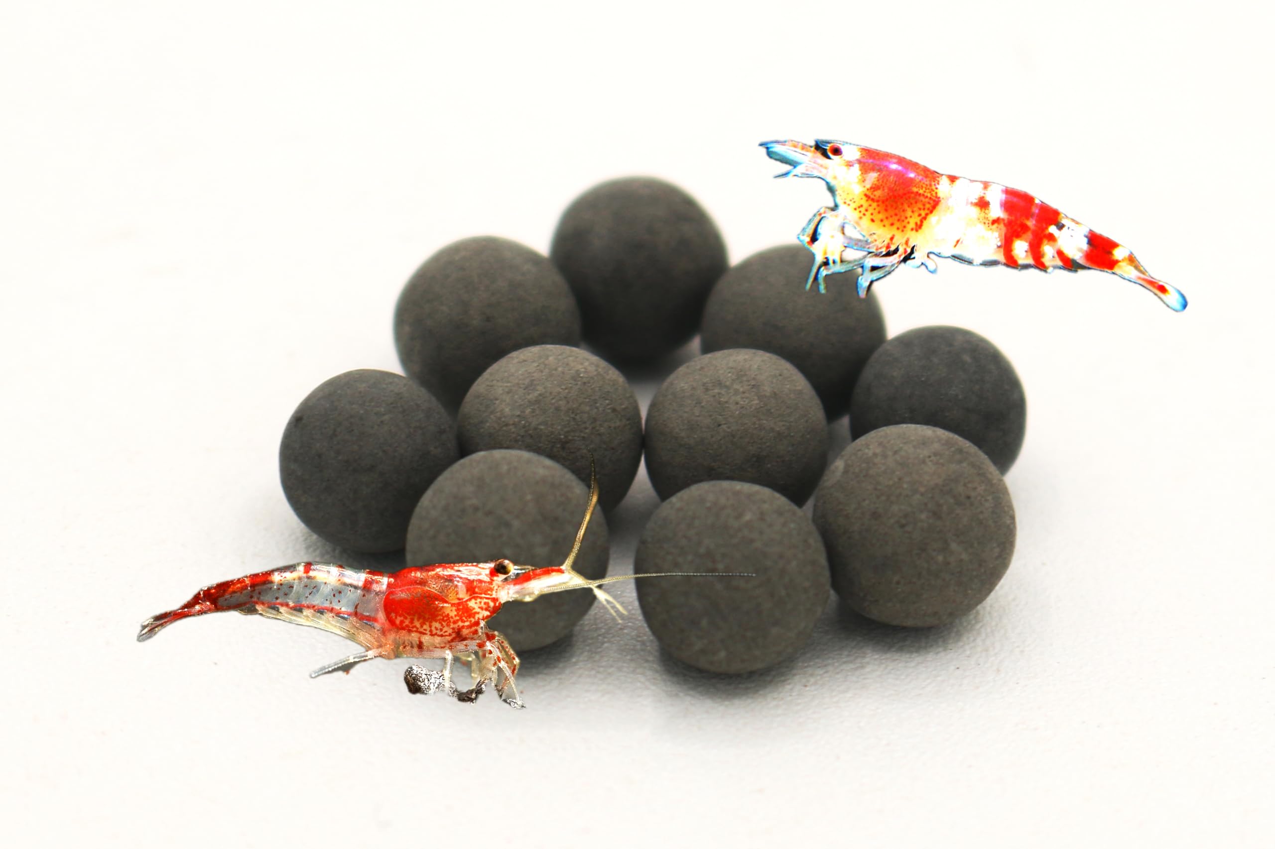 Awesome Aquatic Tourmaline libère des minéraux pour stabiliser le pH et l'équilibre.