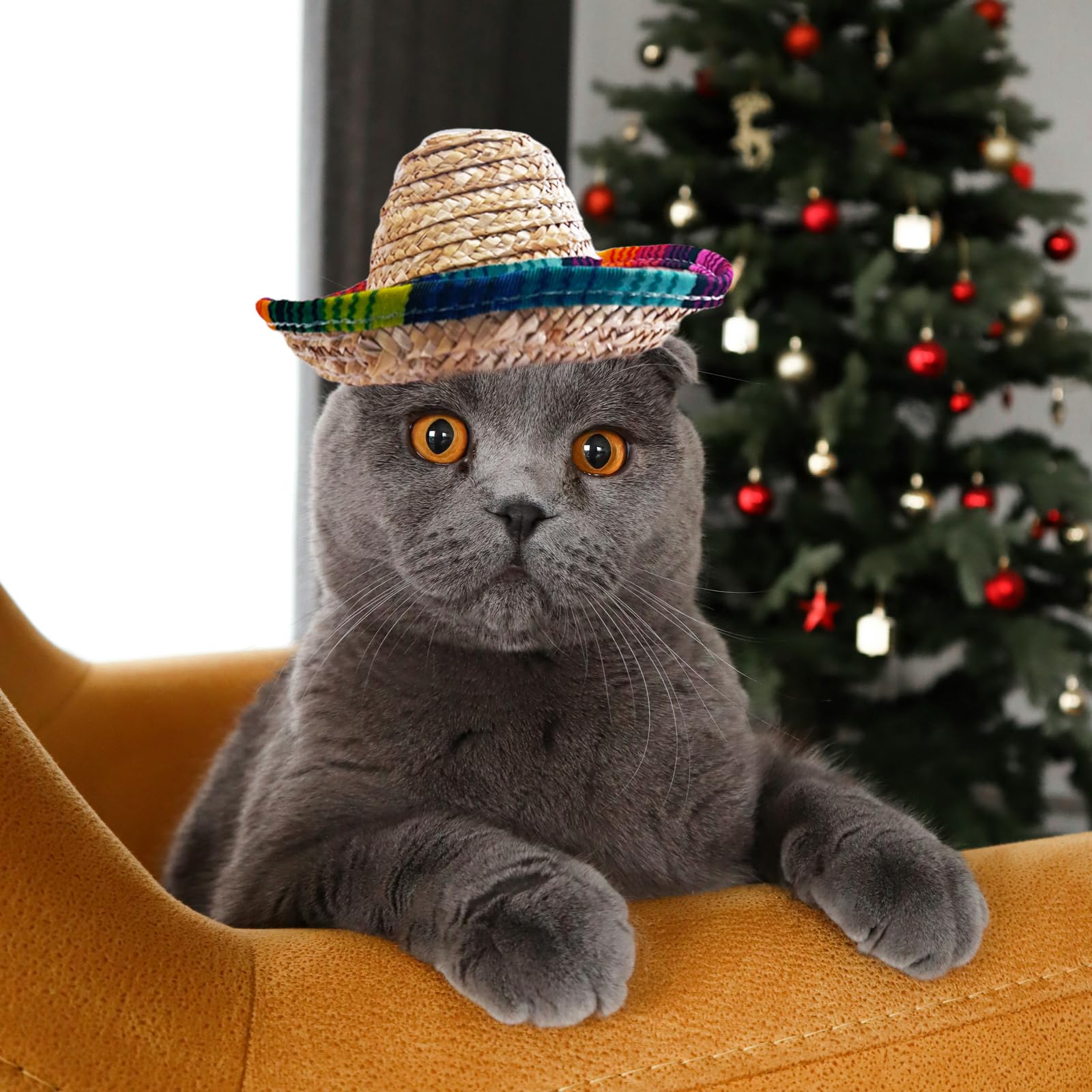 Accessoire photo AWOCAN pour animaux, mises en scène festives