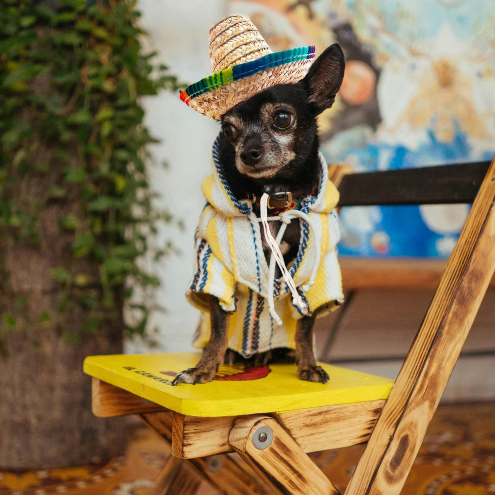Chapeau paille AWOCAN, parfait pour Cinco de Mayo et fiestas