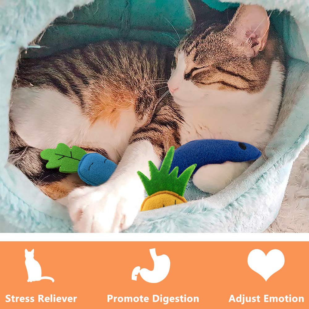 AWOOF catnip: jouet carotte pour chasser et mâchouiller sans danger.