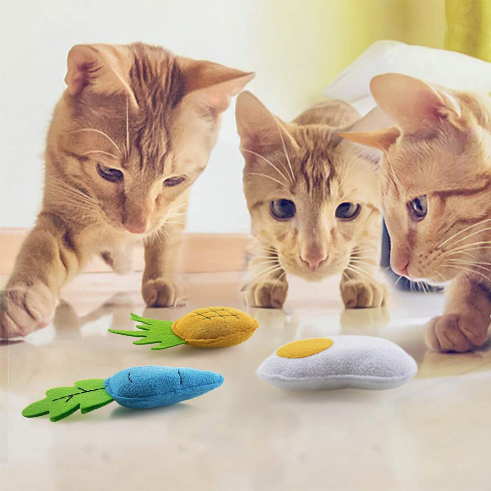 AWOOF catnip: jouet en action, chat amuse et dépense son énergie.