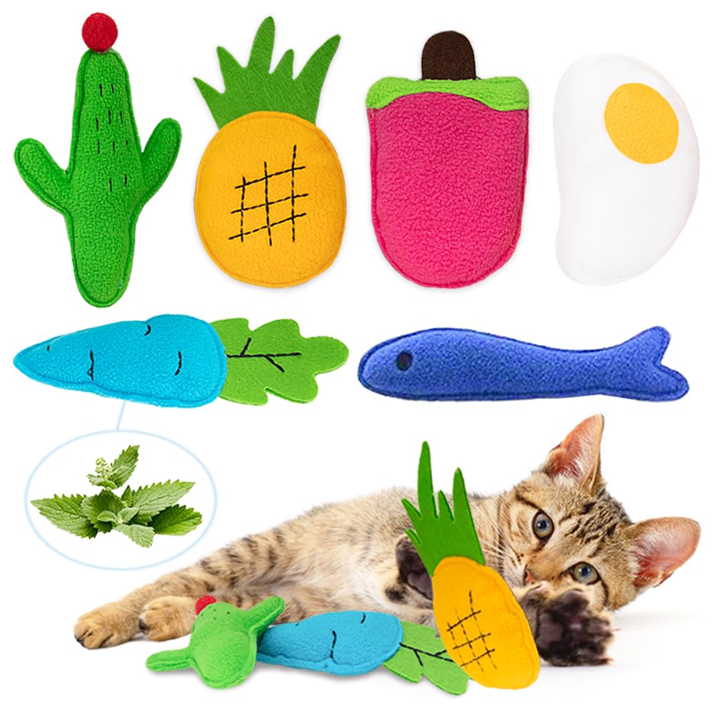 AWOOF catnip: jouet poisson pour chat d’intérieur, stimule le jeu et l’exercice.