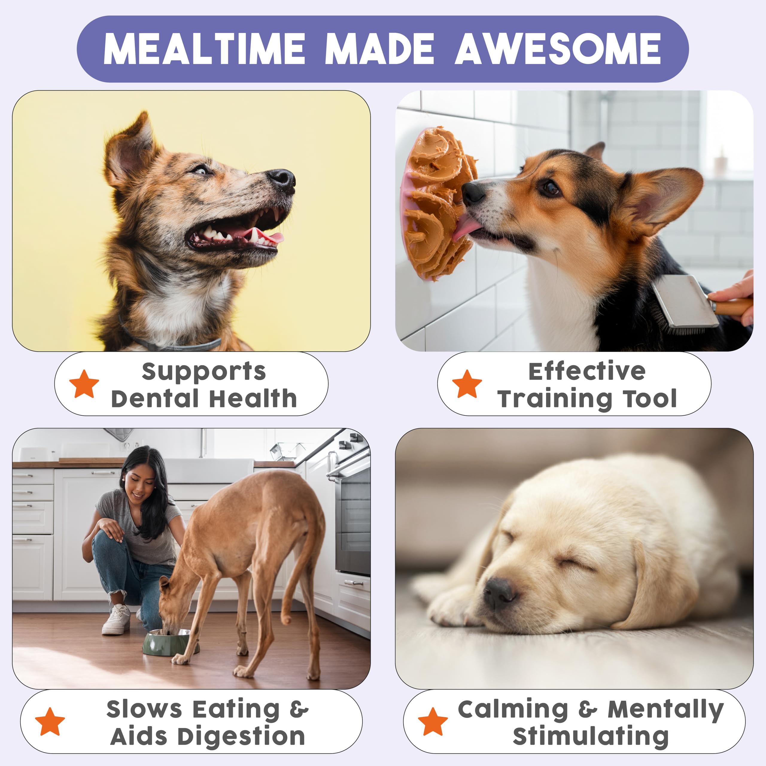 Stimulation mentale du chien lors des repas avec AWOO Great Vibes