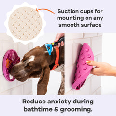 Ventouses sur surface lisse assurant fixation fiable.