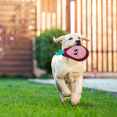 AWOOF jouet tissu doux léger, idéal pour petits chiens et chiots.