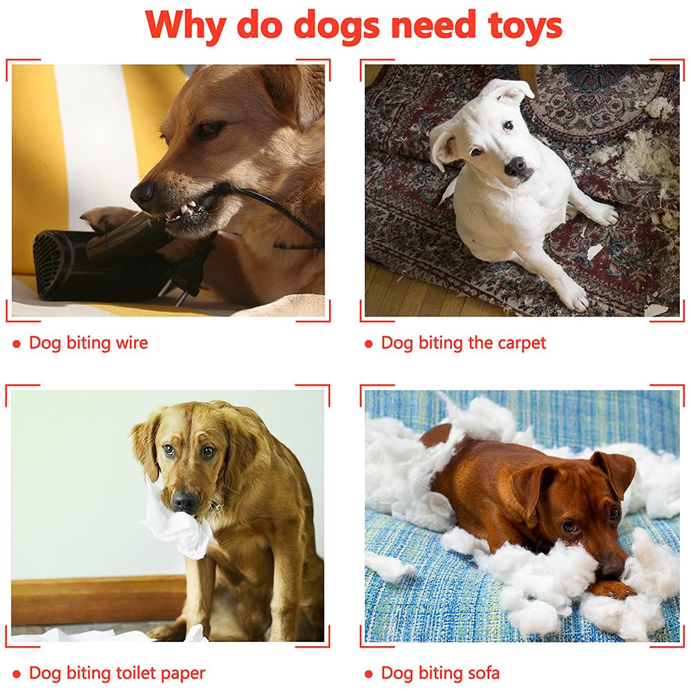 AWOOF jouet adapté à toutes tailles, idéal pour petits et grands chiens.