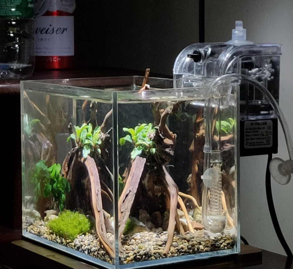 AWXZOM aquarium prêt à l'emploi, installation facile et entretien simplifié.