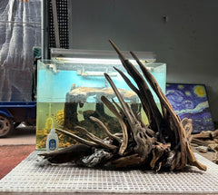 AWXZOM bois flotté, décor intérieur naturel avec branches