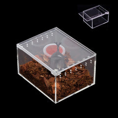 AWXZOM boîte nourrissage reptile avec vue à 360° pour observer facilement.