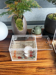 AWXZOM boîte insectes reptile idéale pour transport sécurisé et efficace.