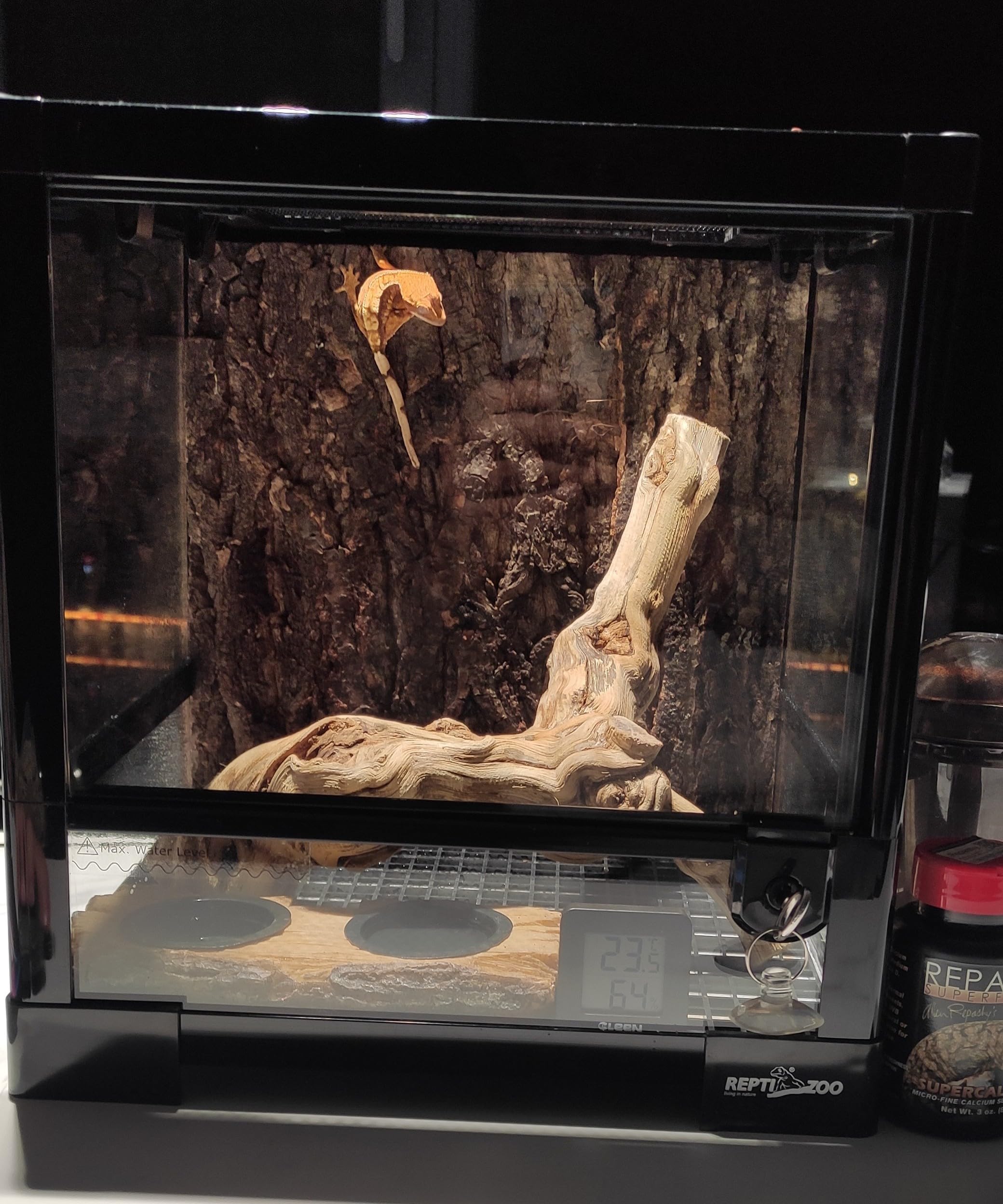 Branche AWXZOM bois-vigne, compatible dragon barbu et autres reptiles.