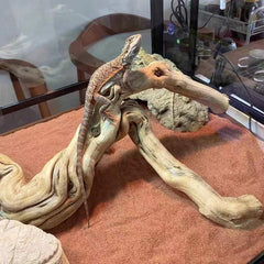 Branche AWXZOM en bois de vigne, décor naturel et stimulation pour vos reptiles.