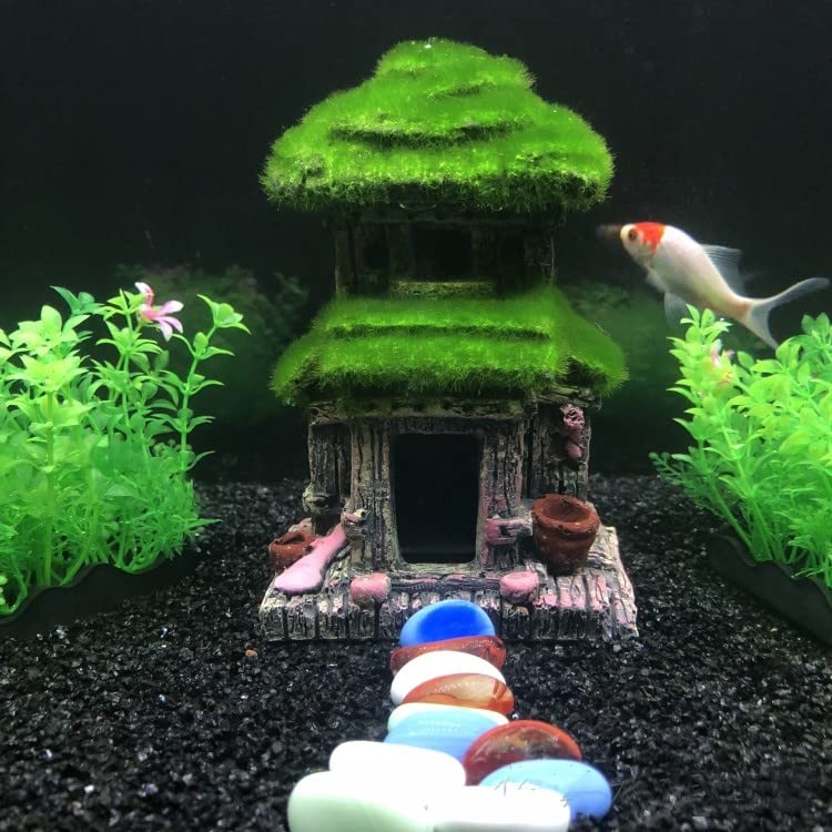 Cachette Betta AWXZOM, abri rustique pour repos et jeu.