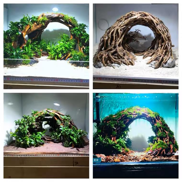 AWXZOM centre bois flotté petit aquarium: taille compacte adaptée aux espaces restreints.