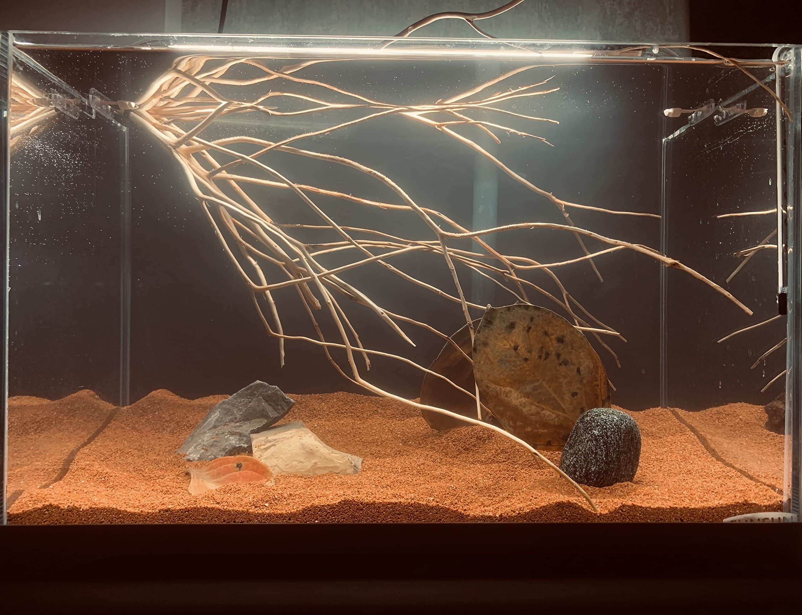 AWXZOM décor d'aquarium rouge, paysagement mis en valeur par le sable.