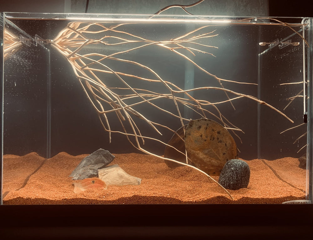 AWXZOM décor d'aquarium rouge, paysagement mis en valeur par le sable.
