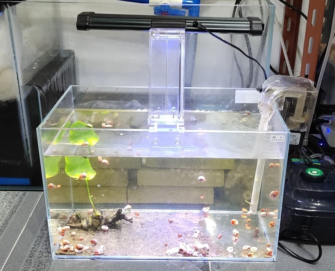 AWXZOM design paysager riche, s'adapte à divers décors d'aquarium.