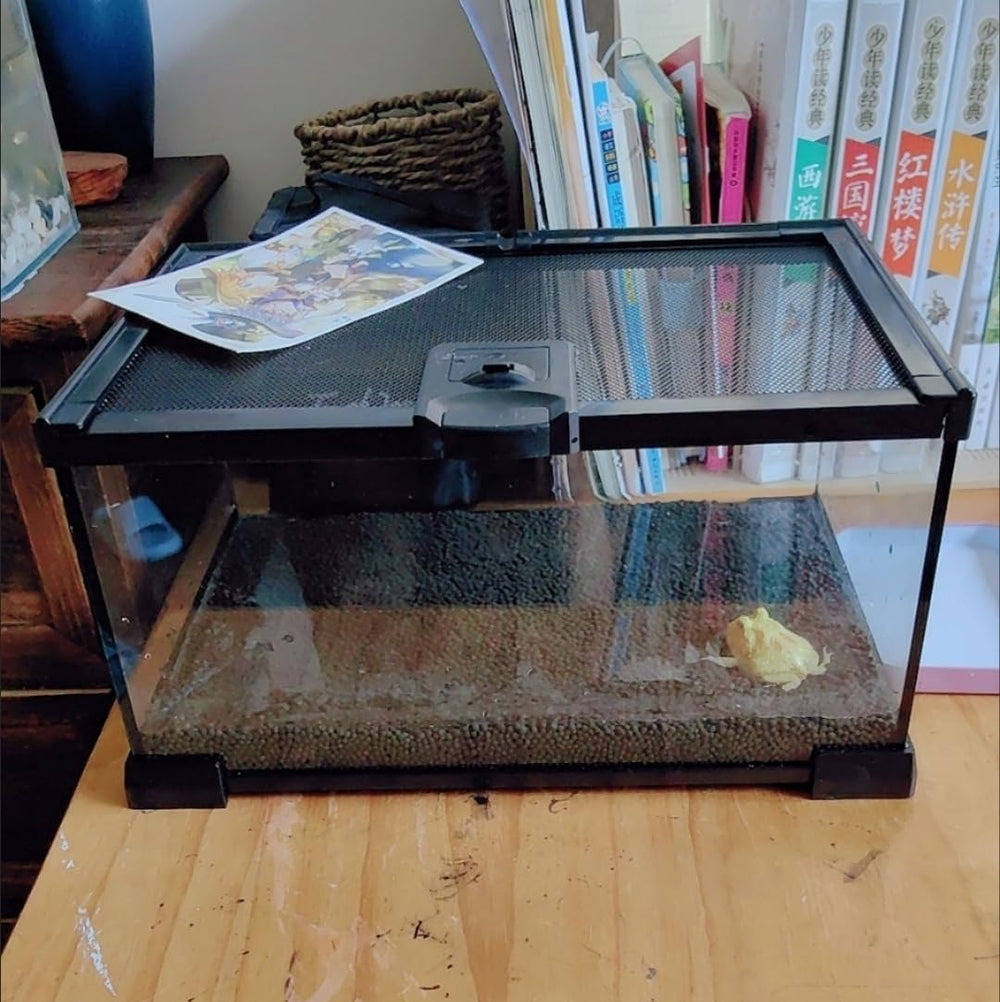 AWXZOM Terarium Mini - dimensions 30,5 x 20,3 x 15,2 cm.