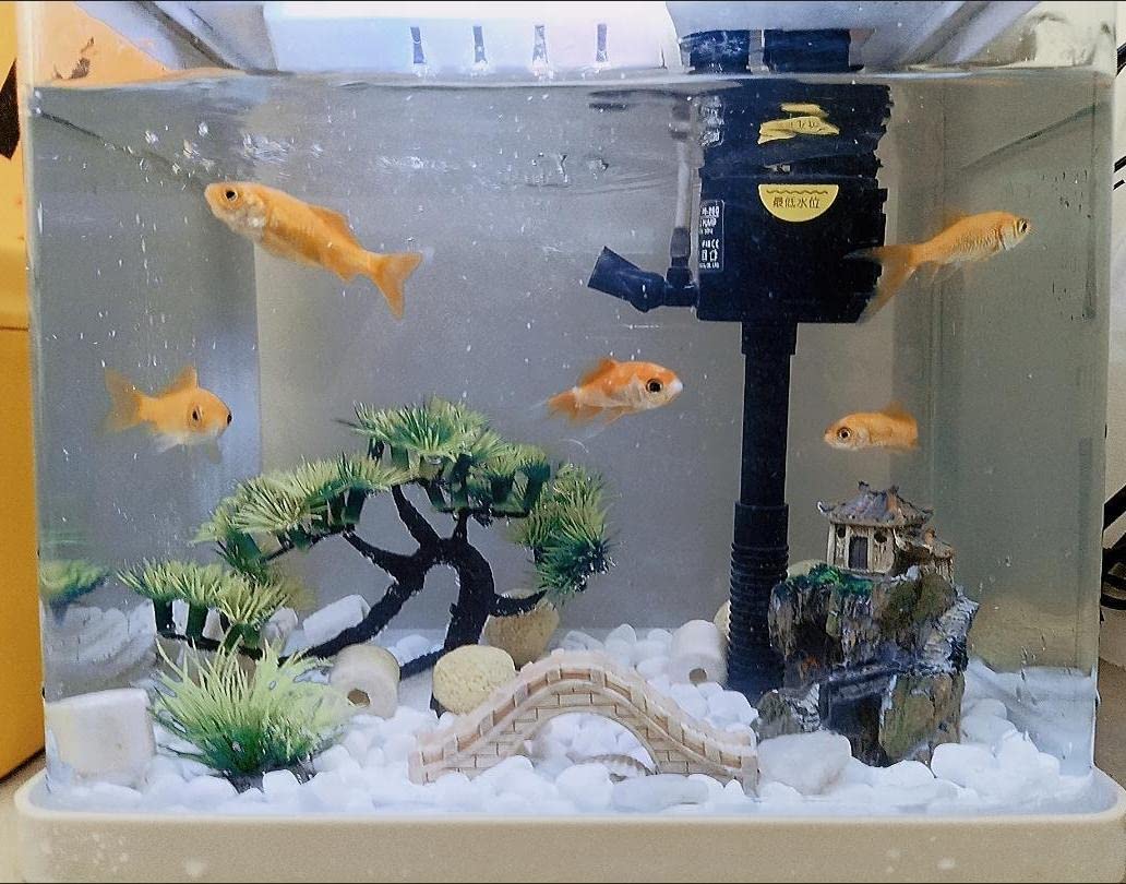 AWXZOM ensemble-decor-poisson-bac: ensemble complet pour aménager rapidement un petit aquarium.