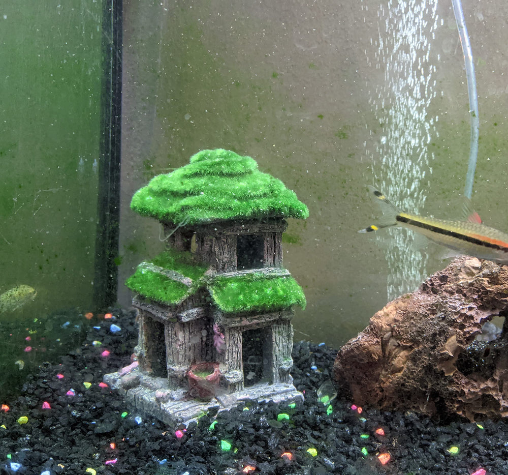 Habitat mousse verdoyante AWXZOM, densité visuelle et vie miniature.