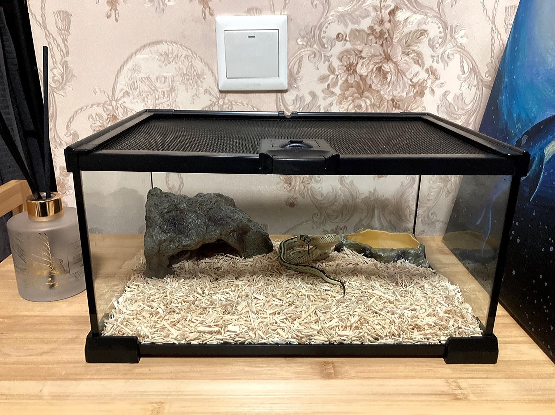 AWXZOM Terarium Mini - habitat polyvalent pour petits reptiles et invertébrés.