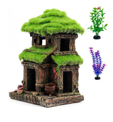 AWXZOM maison Betta avec mousse vivante offrant abri et stimulation.