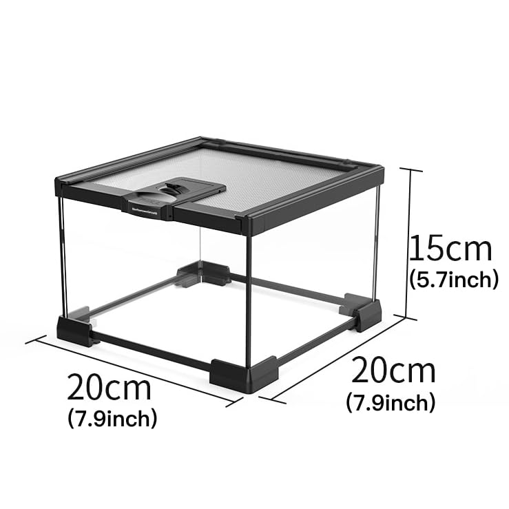 AWXZOM Mini Terarium ouverture supérieure pour nourrissage aisée