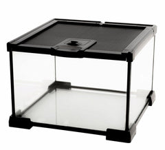 AWXZOM Mini Terarium en verre avec vision 360° pour observer les animaux clairement