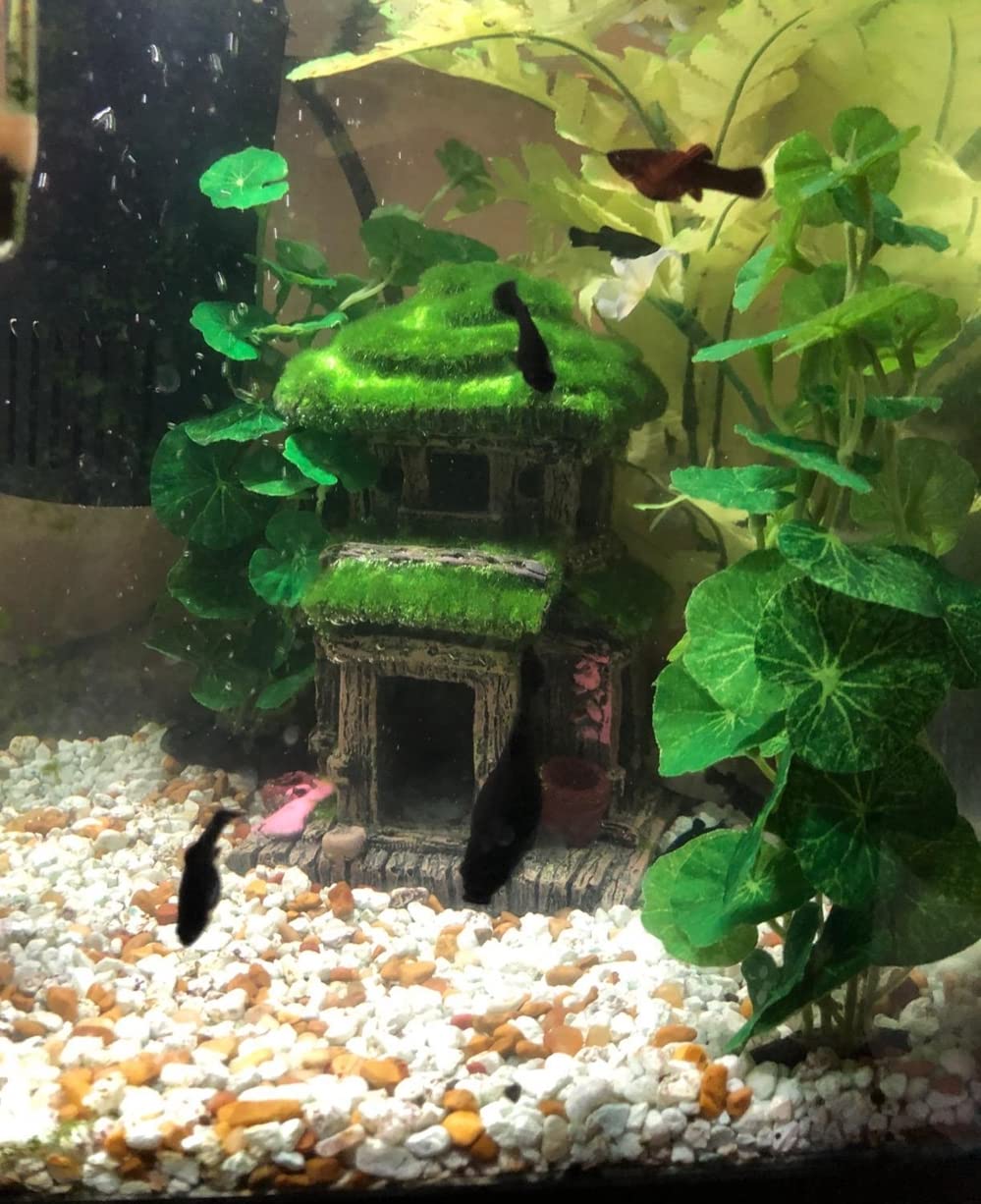 Mousse décorative AWXZOM, effet réaliste sur le poisson et le décor.