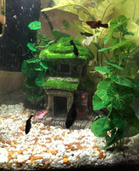 Mousse décorative AWXZOM, effet réaliste sur le poisson et le décor.