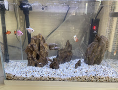 Pierre d’aquarium AWXZOM servant de support pour plantes et mousses.