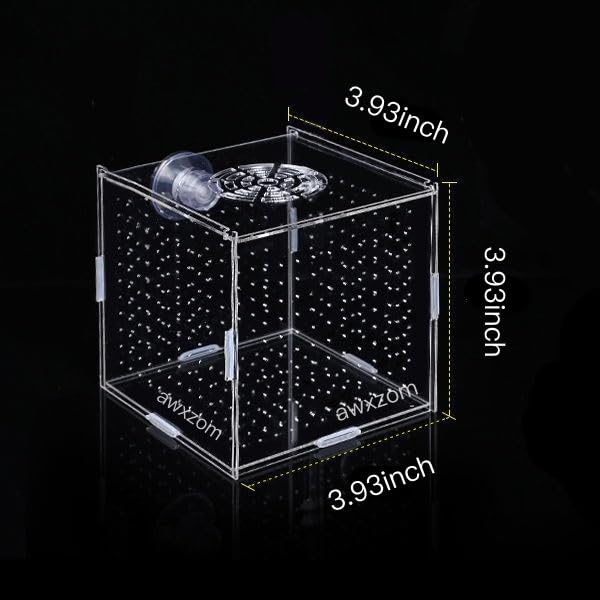 AWXZOM séparateur pour aquarium, protège les juvéniles des cohabitants adultes.