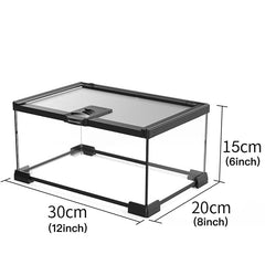 AWXZOM Terarium Mini - design compact prêt à l'emploi.