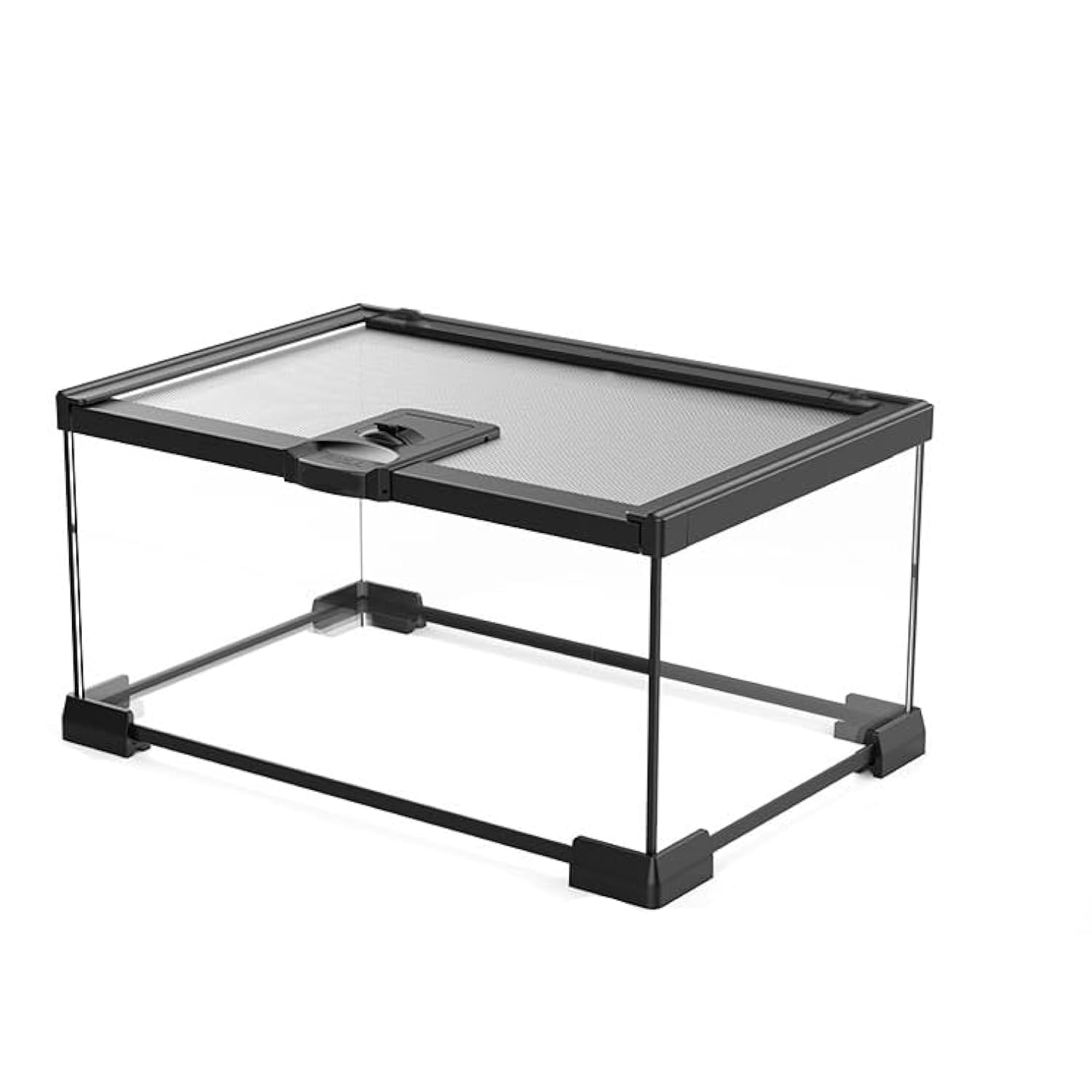 AWXZOM Terarium Mini - vue 360 en verre pour observation facile du reptile.