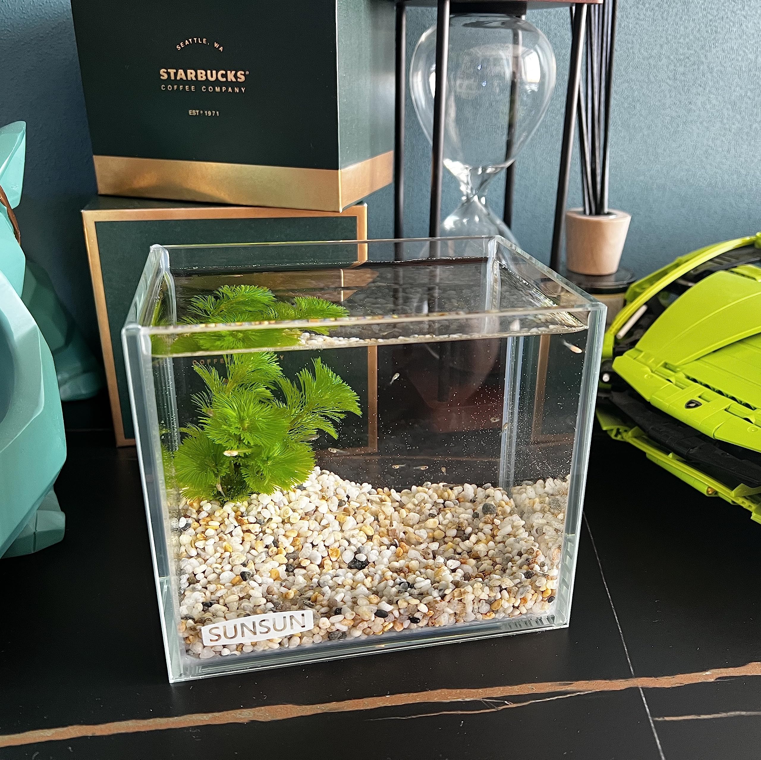 AWXZOM faible volume d'eau: entretien simplifié pour petit espace.