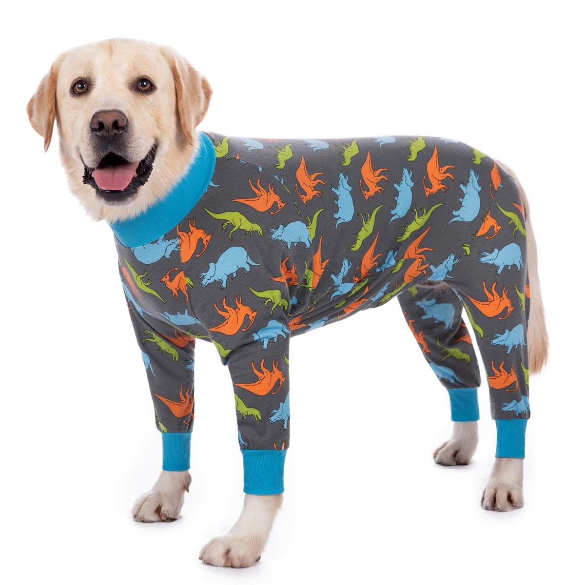 Axcimond: combinaison de récupération pour chien après chirurgie, confort et protection.
