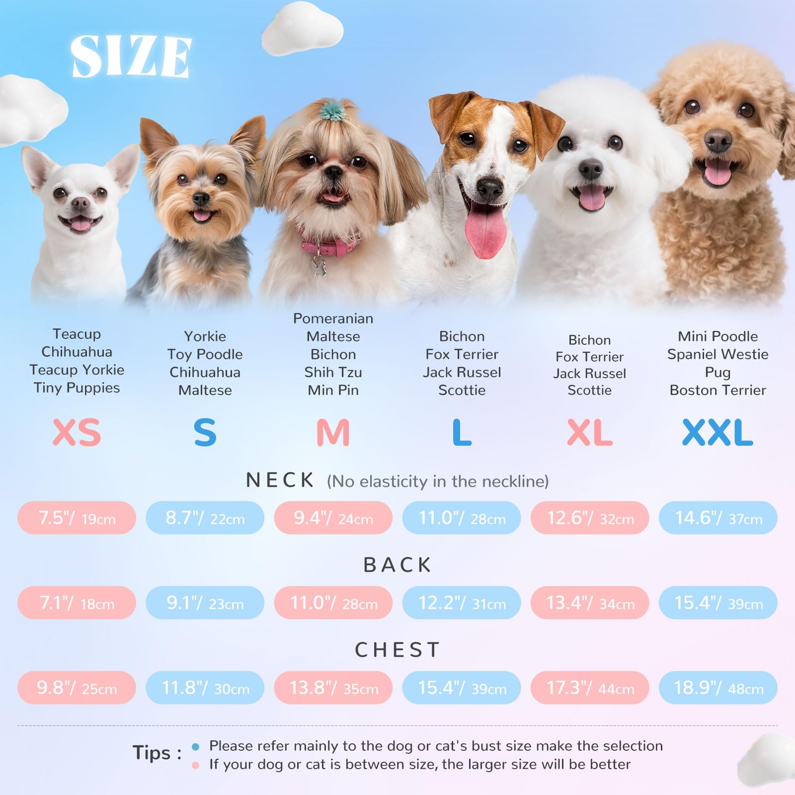 AXIIJGL T-shirt petit chien prêt pour sorties estivales.
