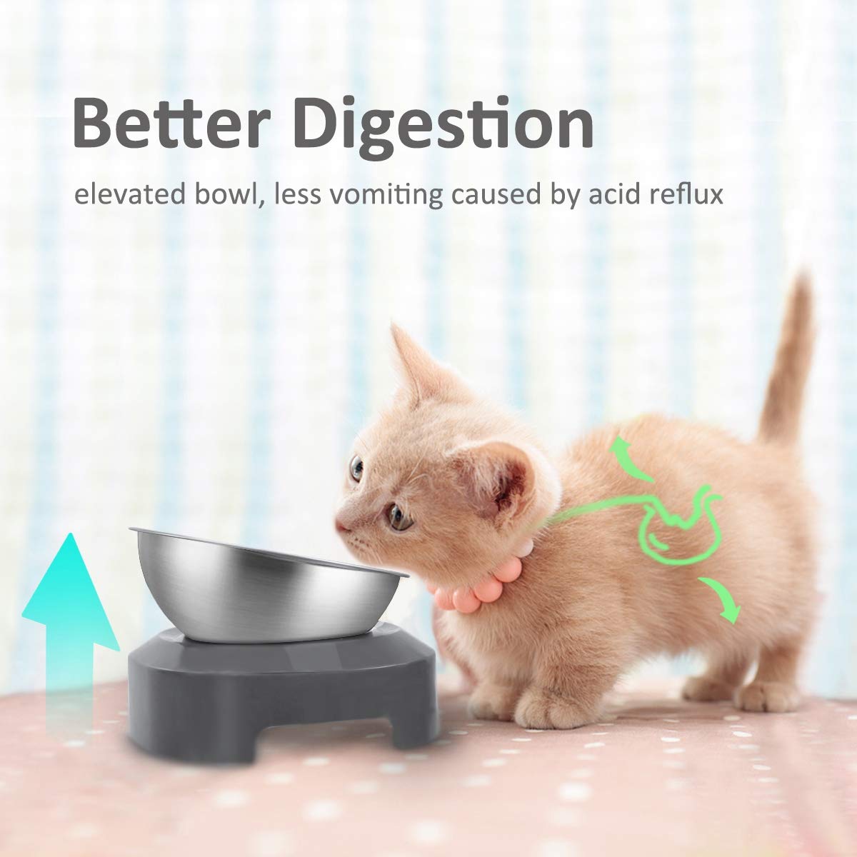 AYADA bol chat ajustable 0°-15°, s’adapte à l’habitude d’alimentation